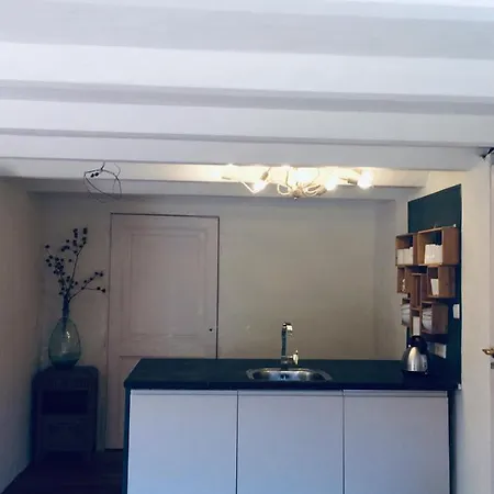 דירה Studio Olijf Ground Floor ארנהיים